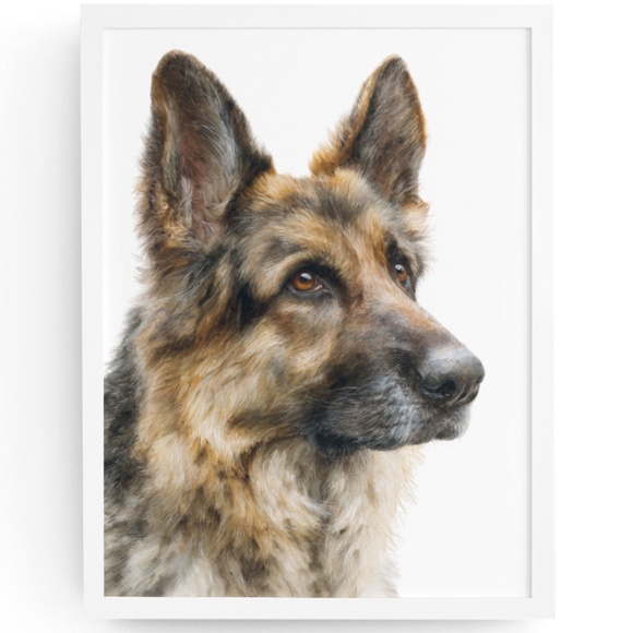 Creative Path Studios Other - Watercolor German Shepherd Dog Portrait Wall Art Print Poster Unframed